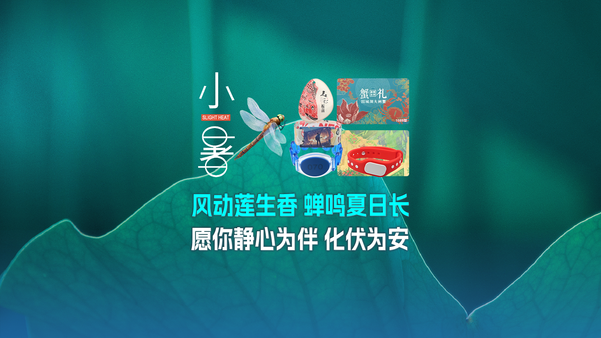 小暑至，，，，，，88858cc永利集团RFID物联网产品热度攀升