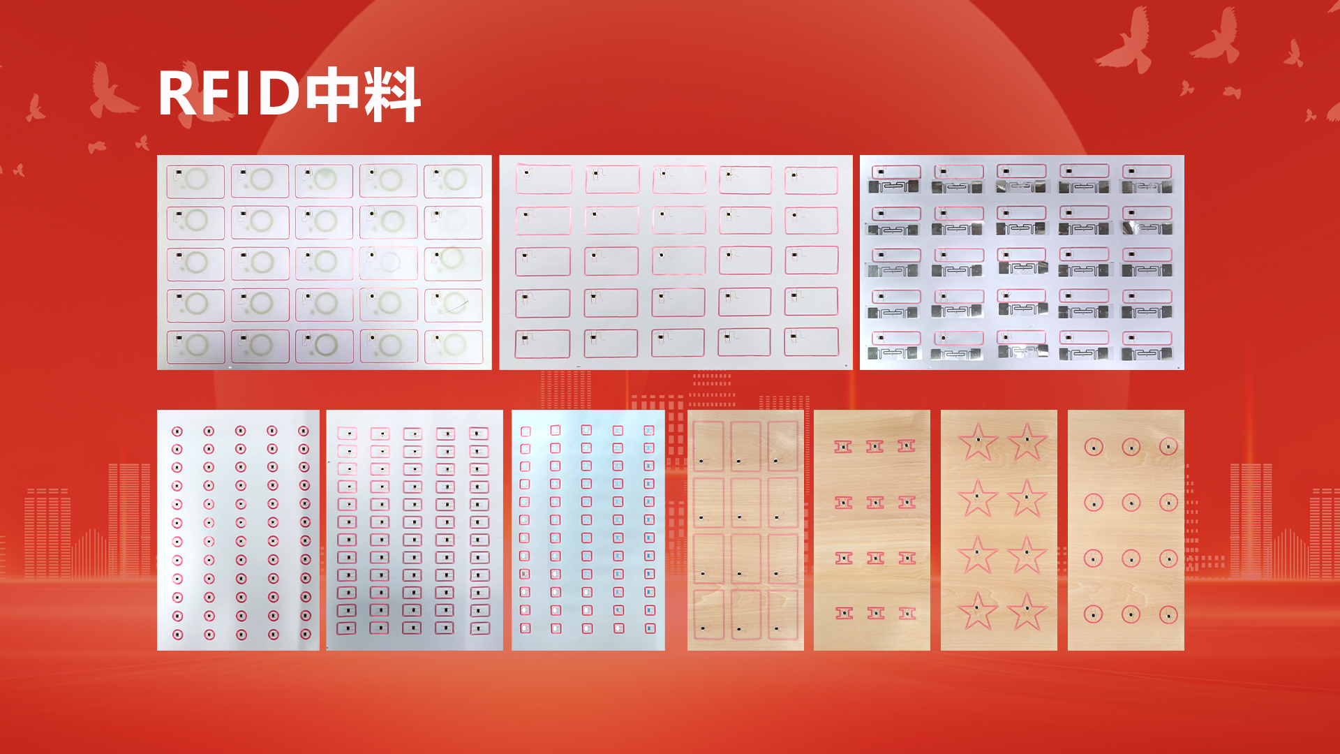 微信图片_20250929104412_438_127